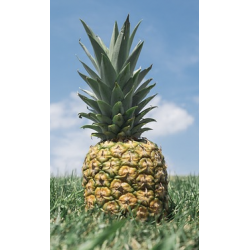 1 ANANAS