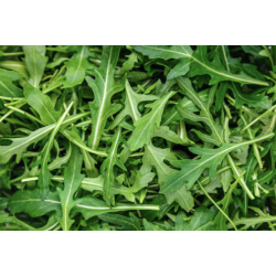 ROQUETTE 200G