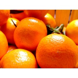 MANDARINES ORRI 750G