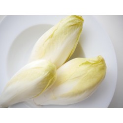 ENDIVES 500G