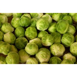 CHOU DE BRUXELLES 500G