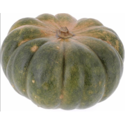 COURGE MUSQUÉE TRANCHE