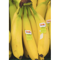 5 BANANES BIO
