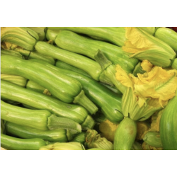 COURGETTES TROMPETTES 500G