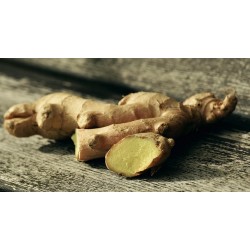 GINGEMBRE 100G