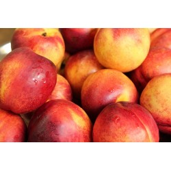 NECTARINES 500G
