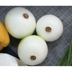 OIGNONS BLANCS FRAIS 500G