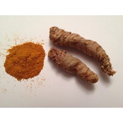 CURCUMA 95G