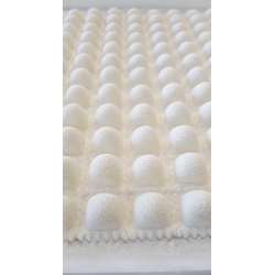 RAVIOLIS NIÇOIS 3 DOUZAINES