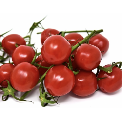 TOMATES CERISES 250G