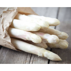 ASPERGES BLANCHES BOTTE