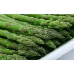 ASPERGES VERTES BOTTE