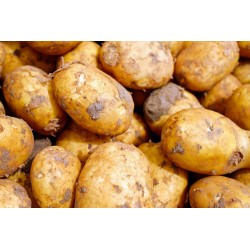 POMMES DE TERRE NOUVELLES 750G