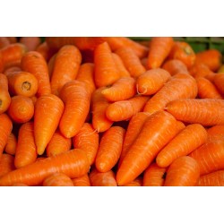 CAROTTES BIO 500G
