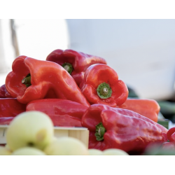 POIVRONS ROUGES 500G