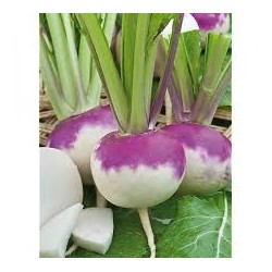 NAVETS ROSES 500G