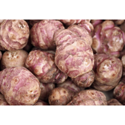 TOPINAMBOURS 500G