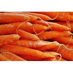 CAROTTES BIO 500G