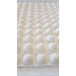 RAVIOLIS AU SAUMON 5 DOUZAINES