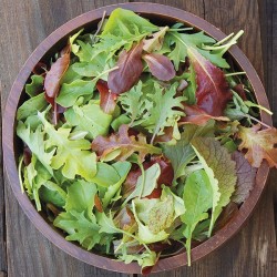 MESCLUN NIÇOIS 200G