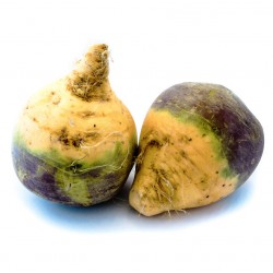 RUTABAGA 500G