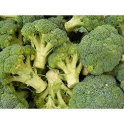 1 BROCOLI